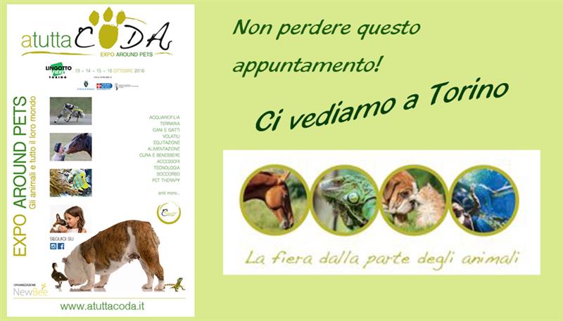 A TUTTA CODA – EXPO AROUND PETS A TUTTA CODA – EXPO AROUND PETS